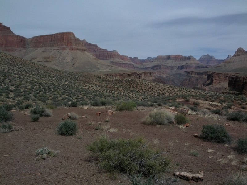 IMG_20130315_135922.jpg